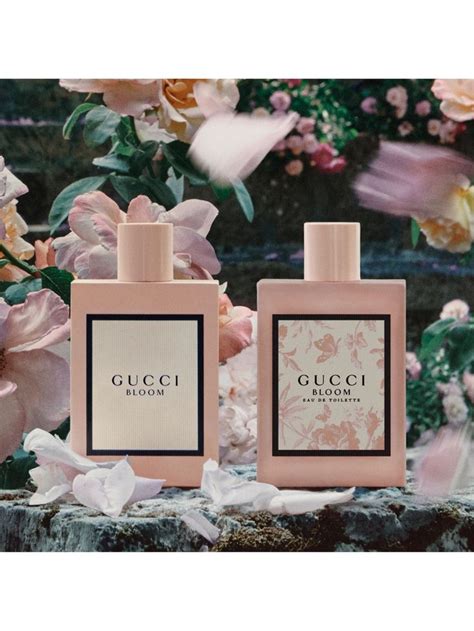 gucci bloom cheap|gucci bloom cheapest.